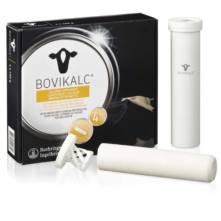 bovikalc-bolus-4-st